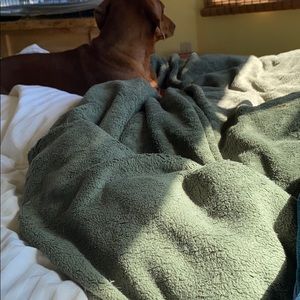 Meet your Posher, Eli